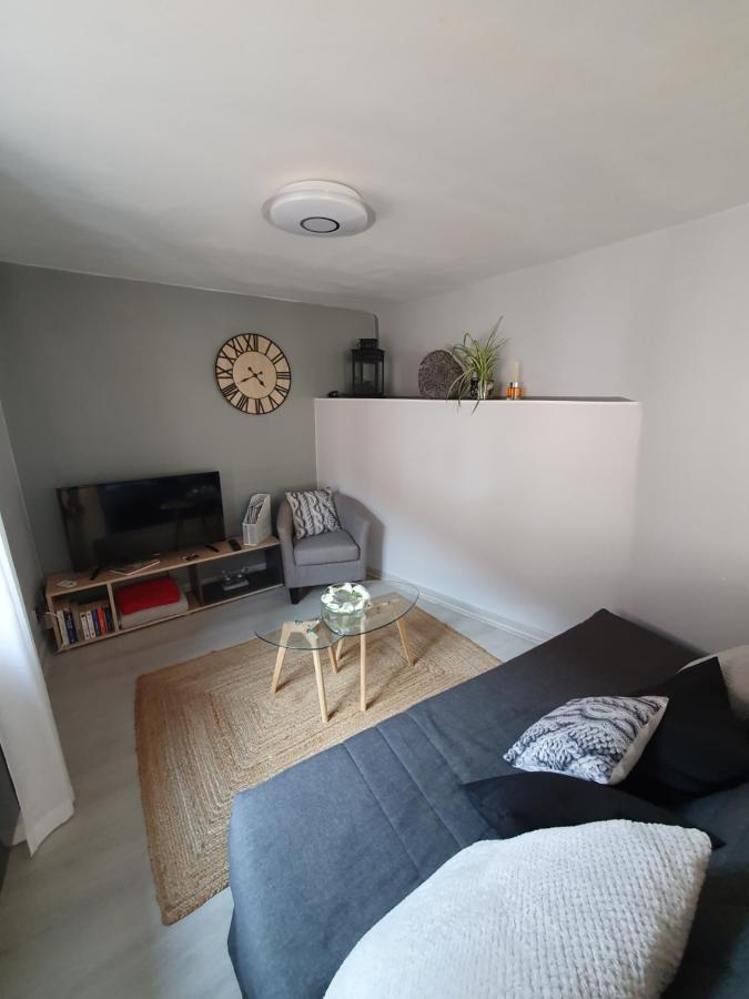 Le Petit Fleck Apartman Haguenau Kültér fotó